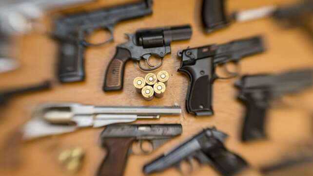 Rechtsextremisten und «Reichsbürger» besitzen 138 Waffen
