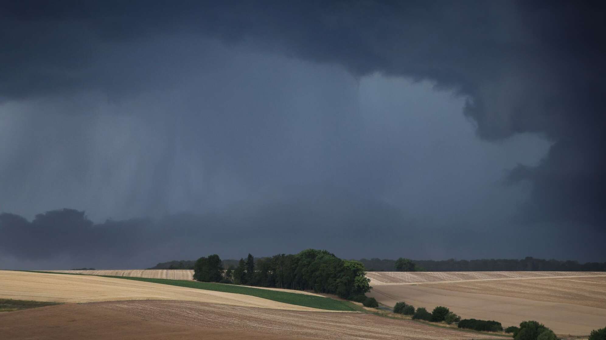 Gewitterwolken über Getreidefeldern