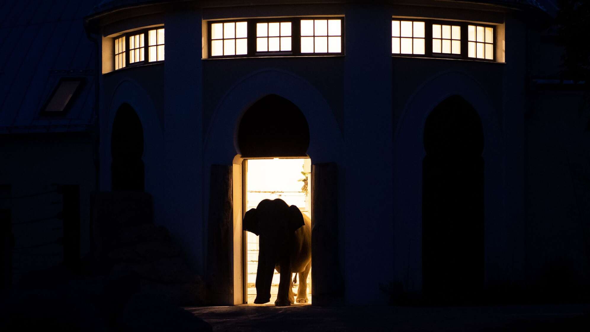 Tierpark Hellabrunn bei Nacht