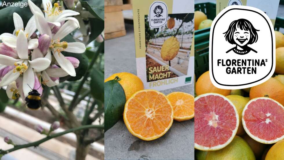 Florentinas Garten