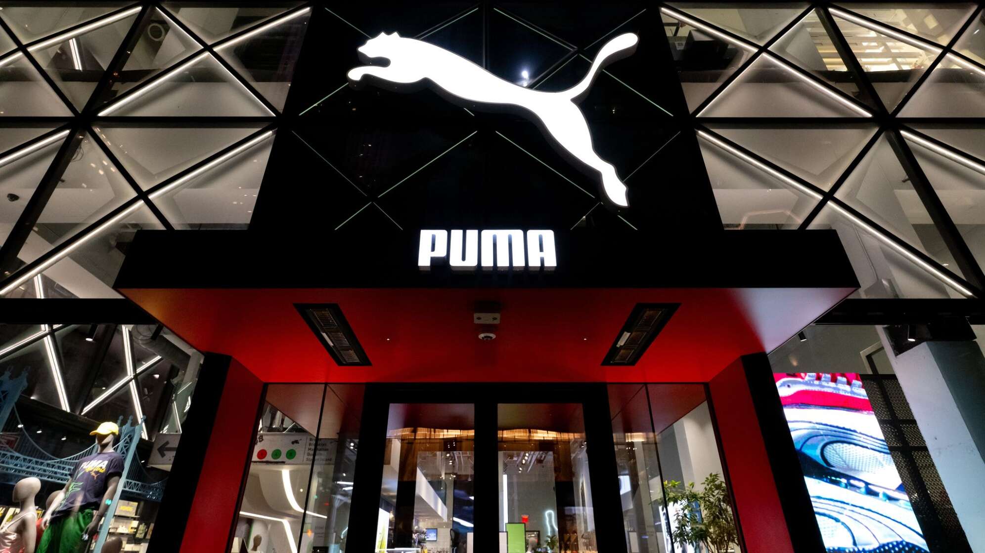 Puma