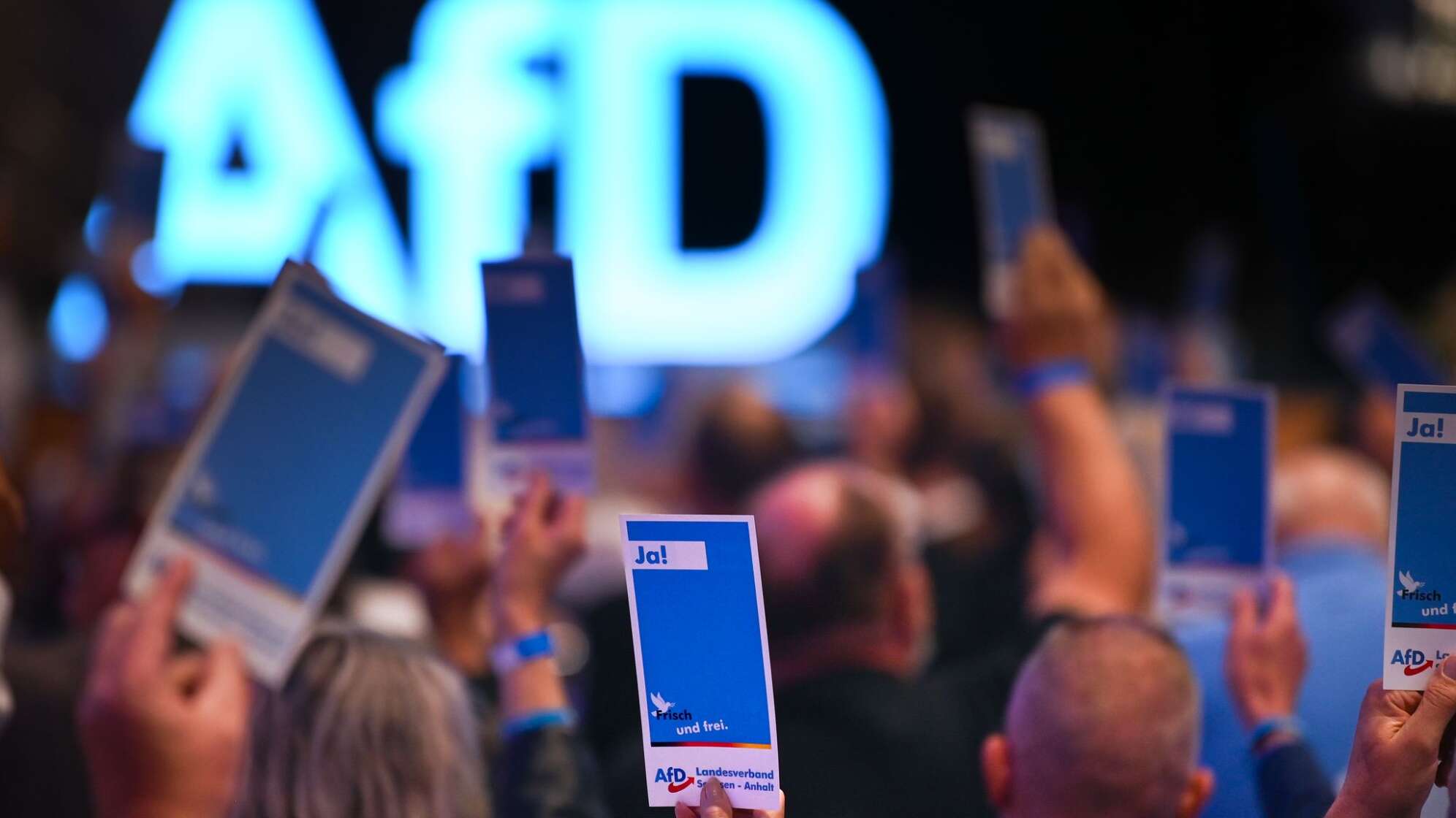 AfD