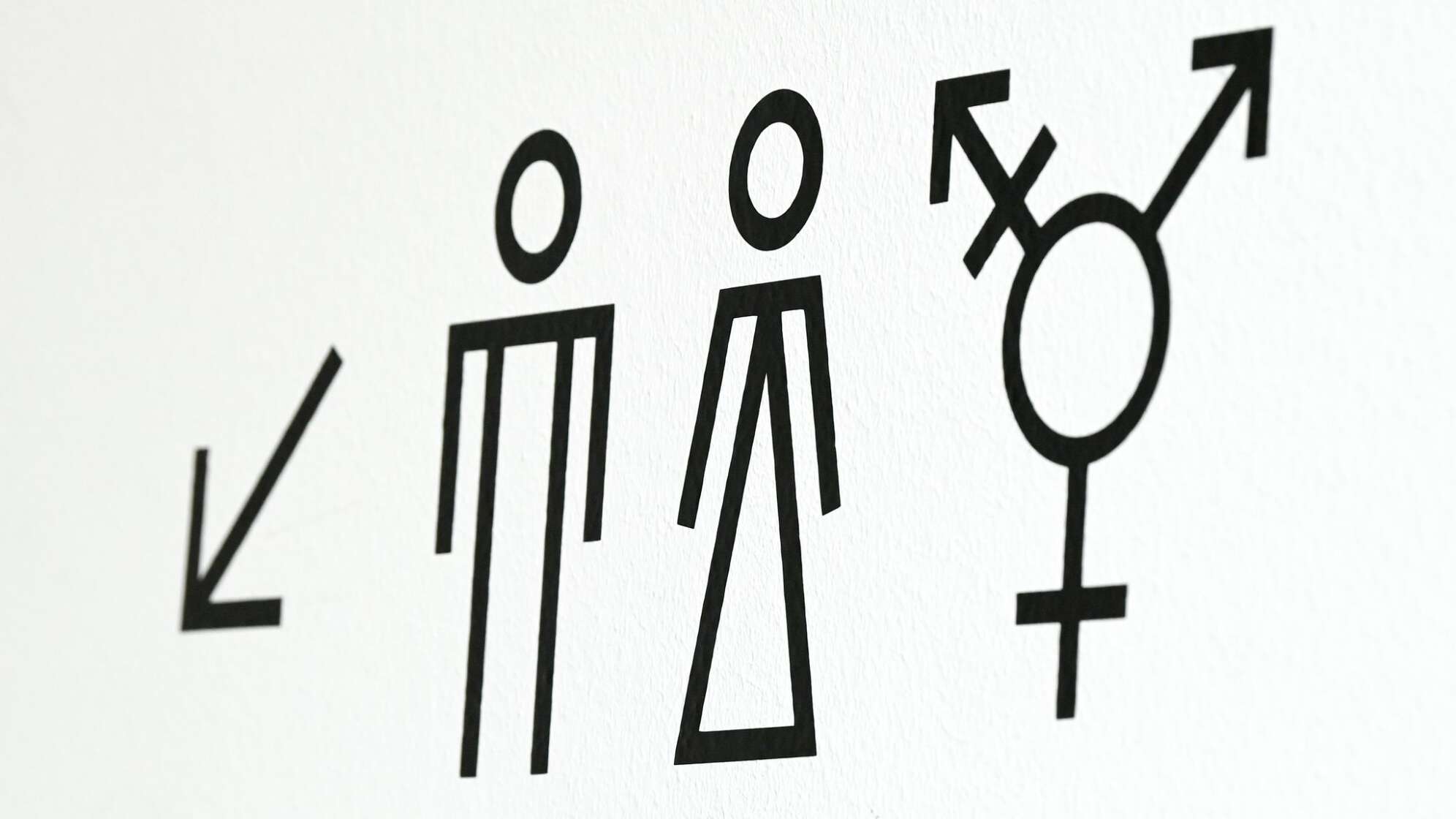 Vielfalt-Symbole für Toiletten
