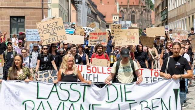 Protest gegen Pavian-Tötung - «Schande für Tierschutz»