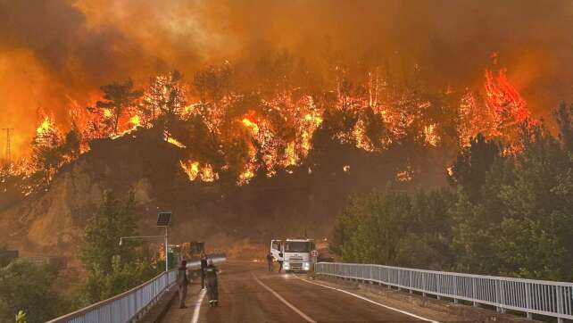 Waldbrände in der Türkei bedrohen Wohngegenden