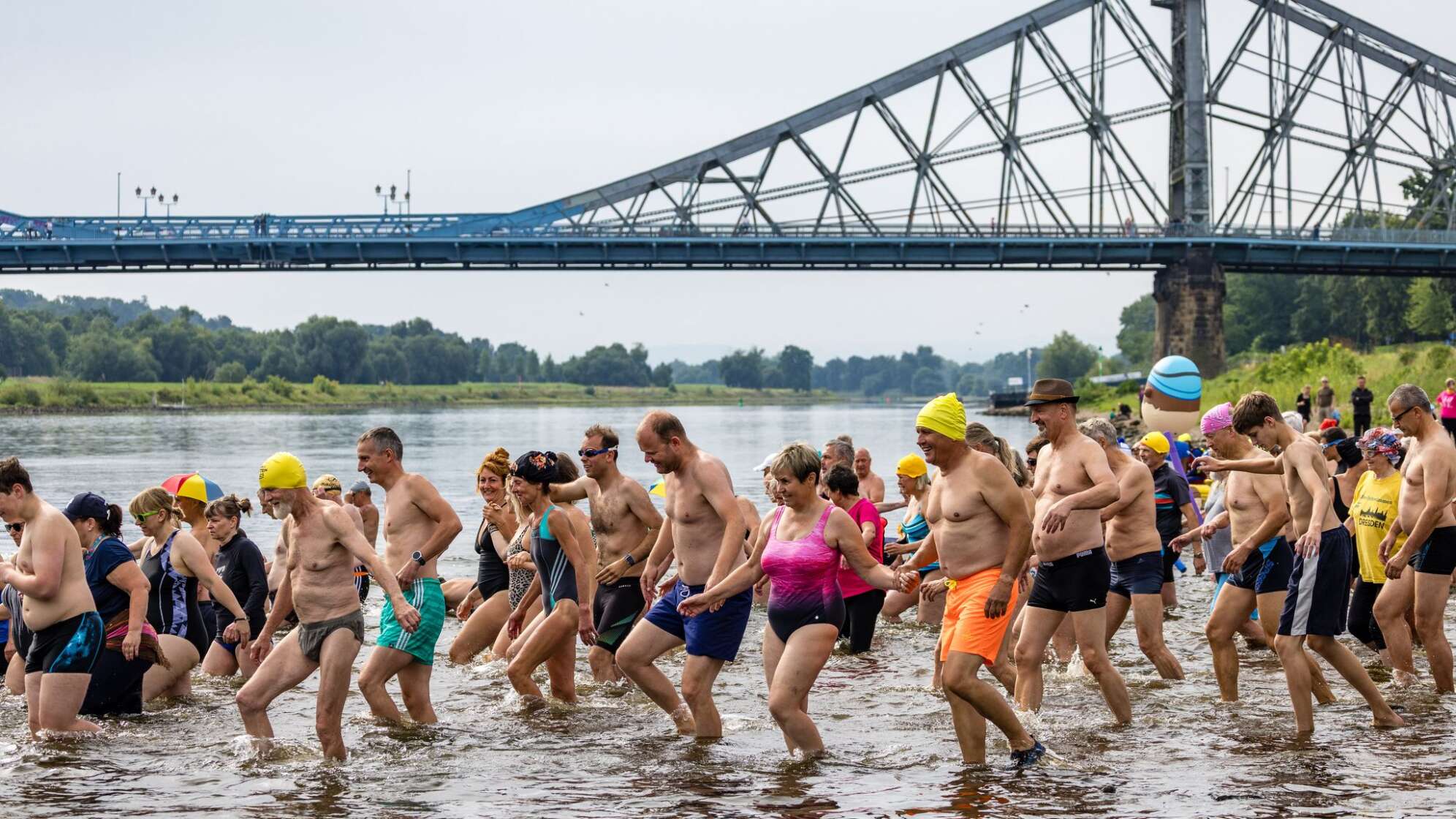Elbeschwimmen in Dresden