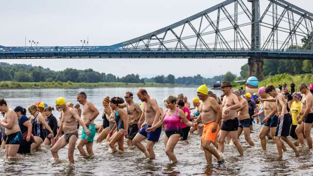 Hunderte Teilnehmer beim Elbeschwimmen in Dresden
