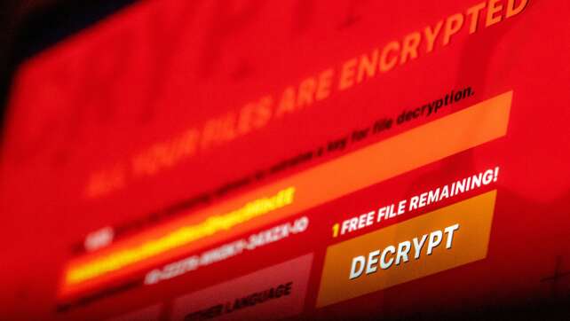 Ermittler stoppen Erpresser-Software - fast 200 Opfer