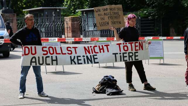 Mehr als 100 Strafanzeigen nach Pavian-Tötung in Nürnberg