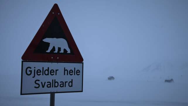Eisbär auf Spitzbergen erschossen