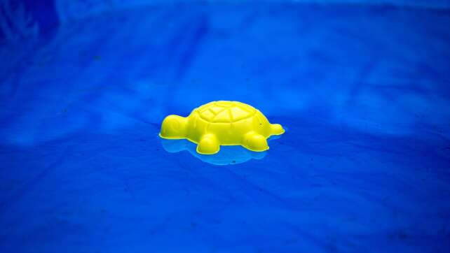 Zwei vermisste Kinder tot in Pool in Frankreich gefunden