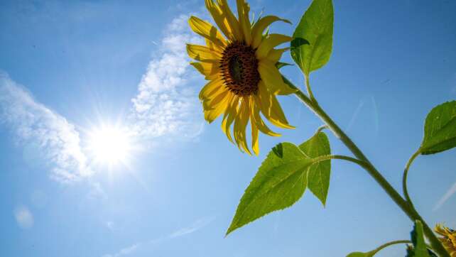 Die Sonne ist zurück
