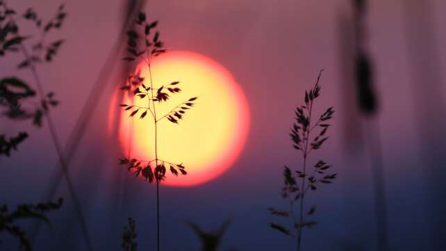 Sonnige und heiße Aussichten für das Wochenende in Bayern