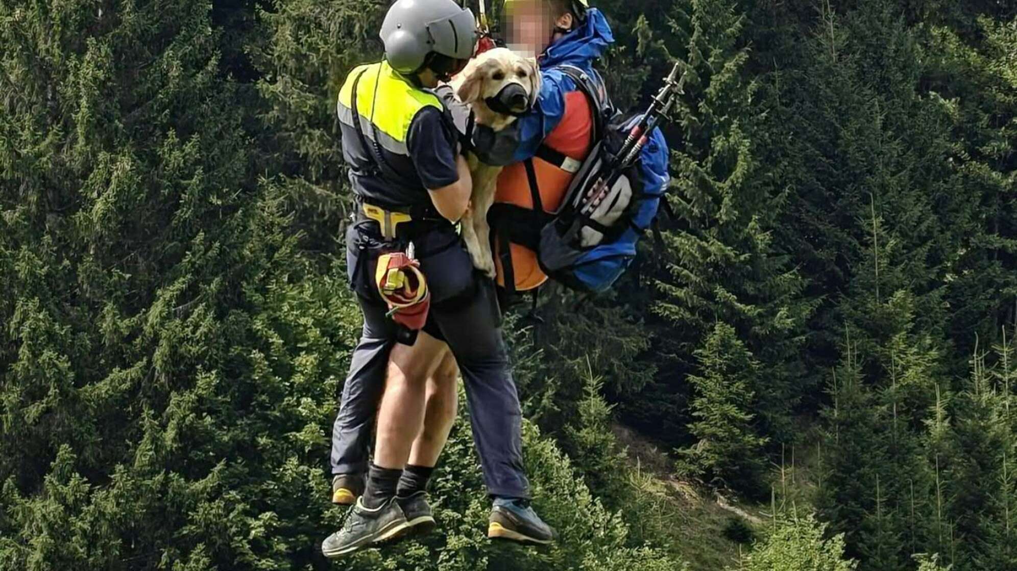 Hündin per Hubschrauber aus steilem Gelände geborgen
