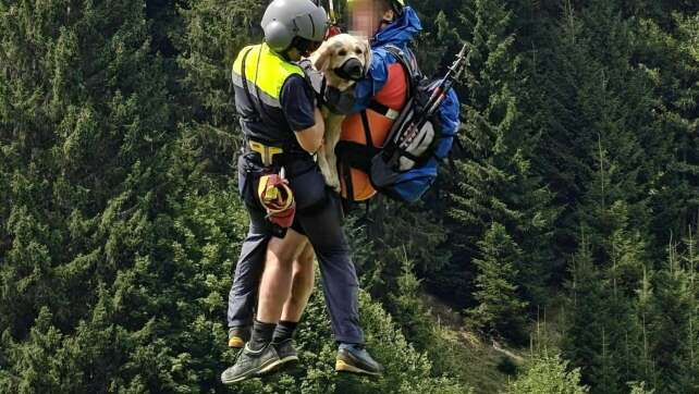 Hündin von Deutschen in den Alpen mit Hubschrauber gerettet