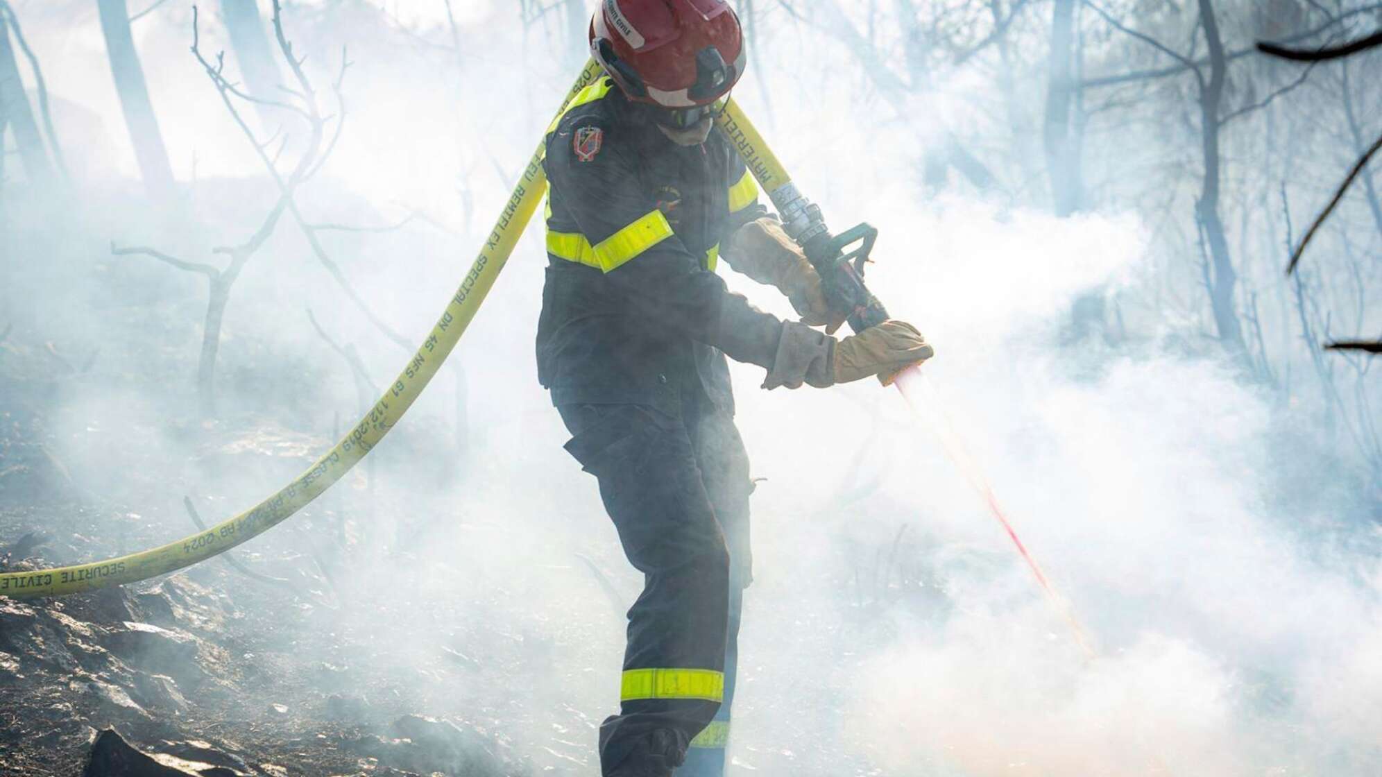 Waldbrand in Südfrankreich