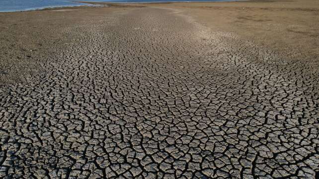 Trockenheit: Wenn das Wasser knapp wird