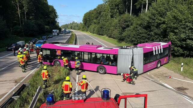 Fünf Verletzte bei Busunfall auf A24