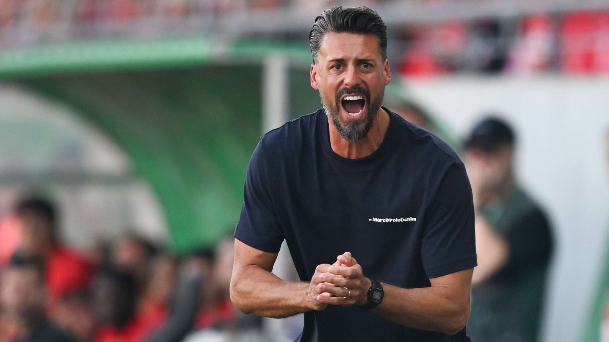 Hallescher FC - FC Augsburg