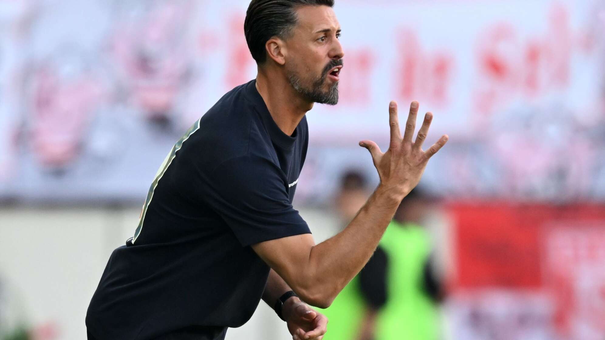 Hallescher FC - FC Augsburg