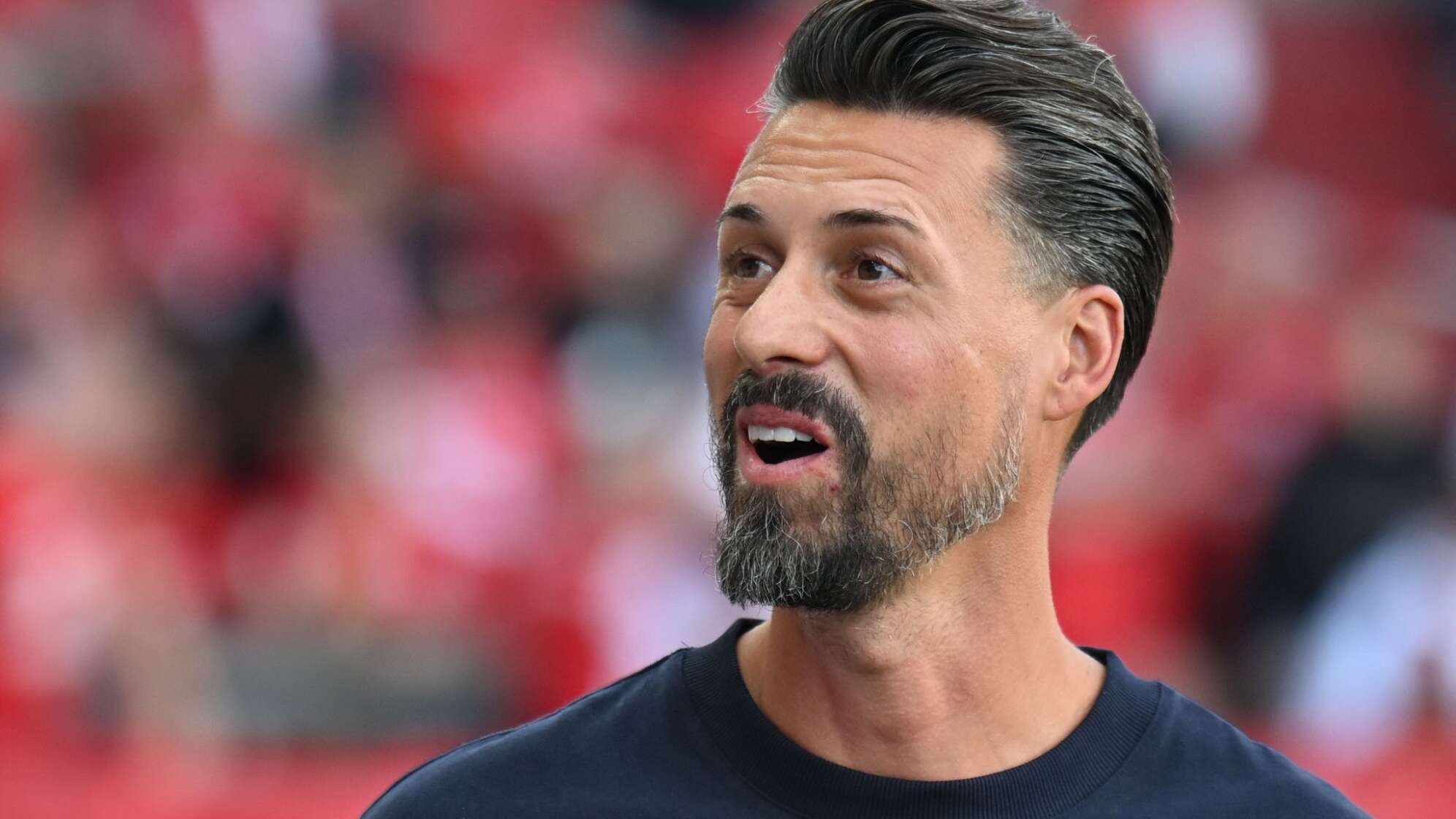 Sandro Wagner
