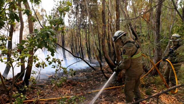Bereits vier Tote bei Waldbränden in Portugal