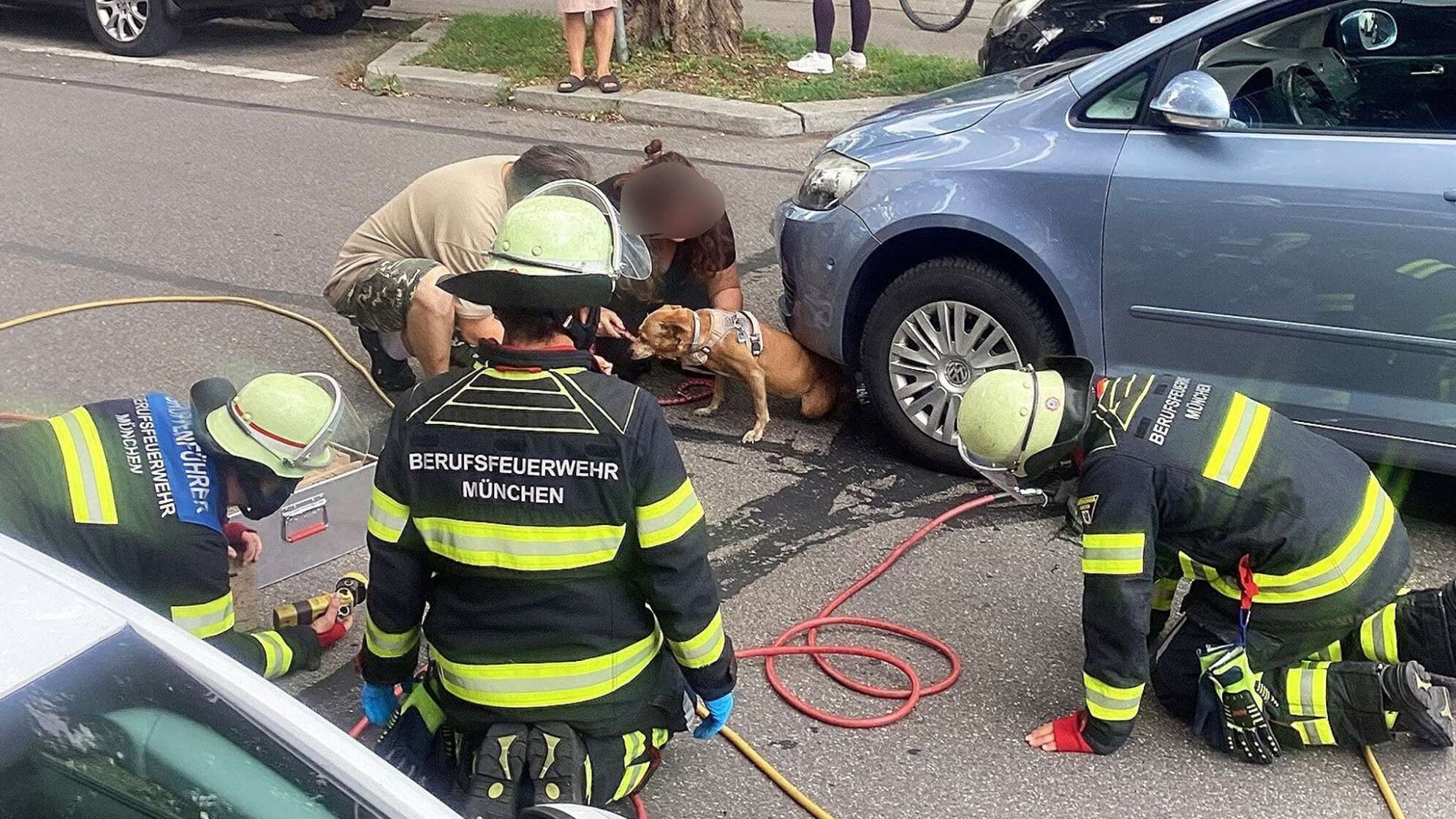 Feuerwehr befreit unter Auto eingeklemmte Hündin