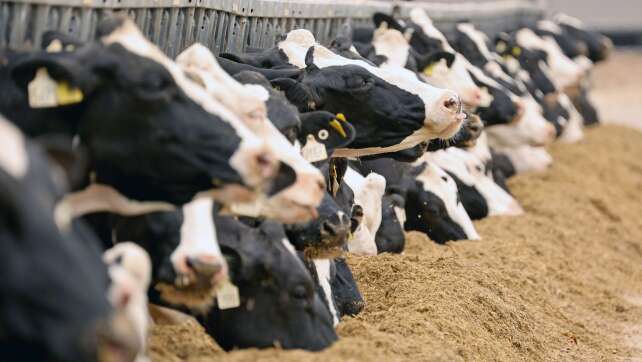 Tierhalteverbot für Landwirt im Allgäu ausgesprochen