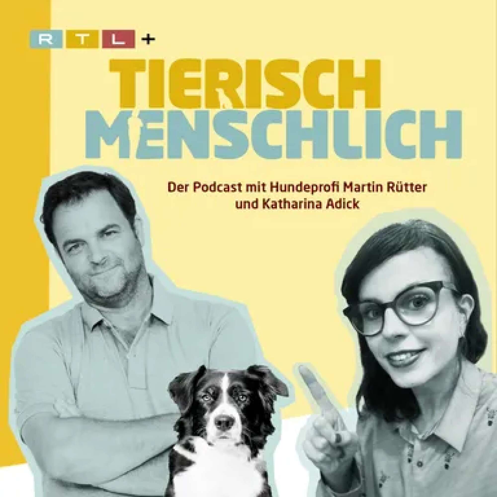 Podcast-Cover "Tierisch menschlich"