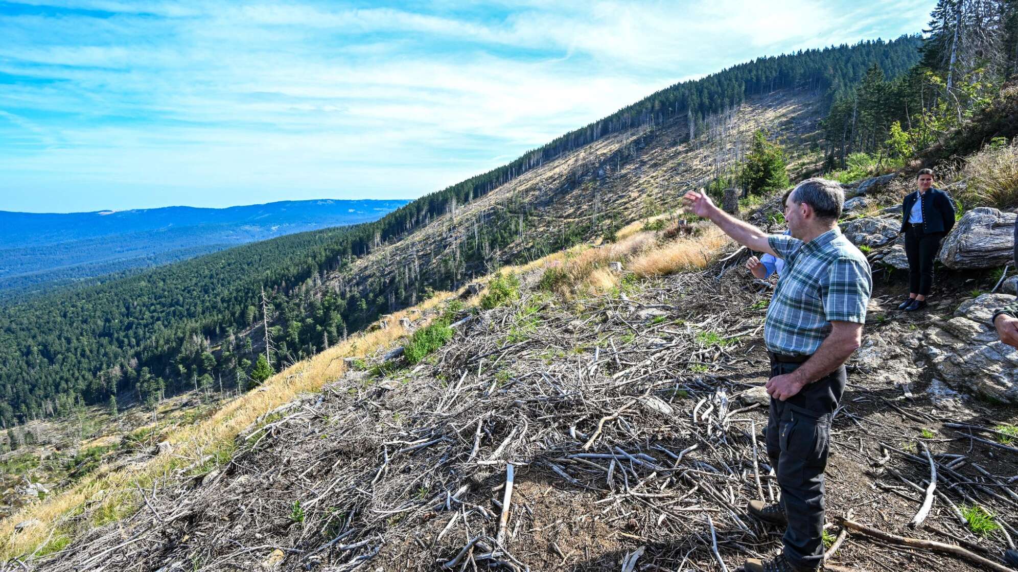 Borkenkäferbekämpfung im Bayerischen Wald