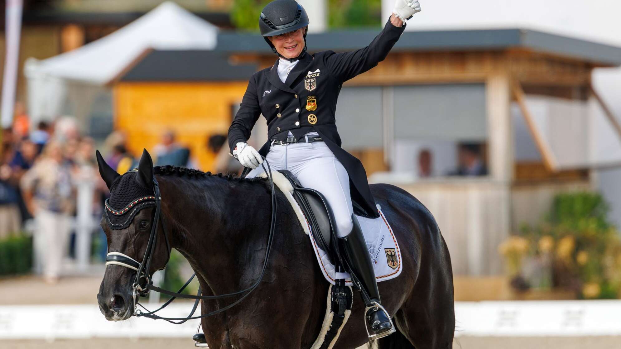 Pferdesport/Dressur: Europameisterschaft