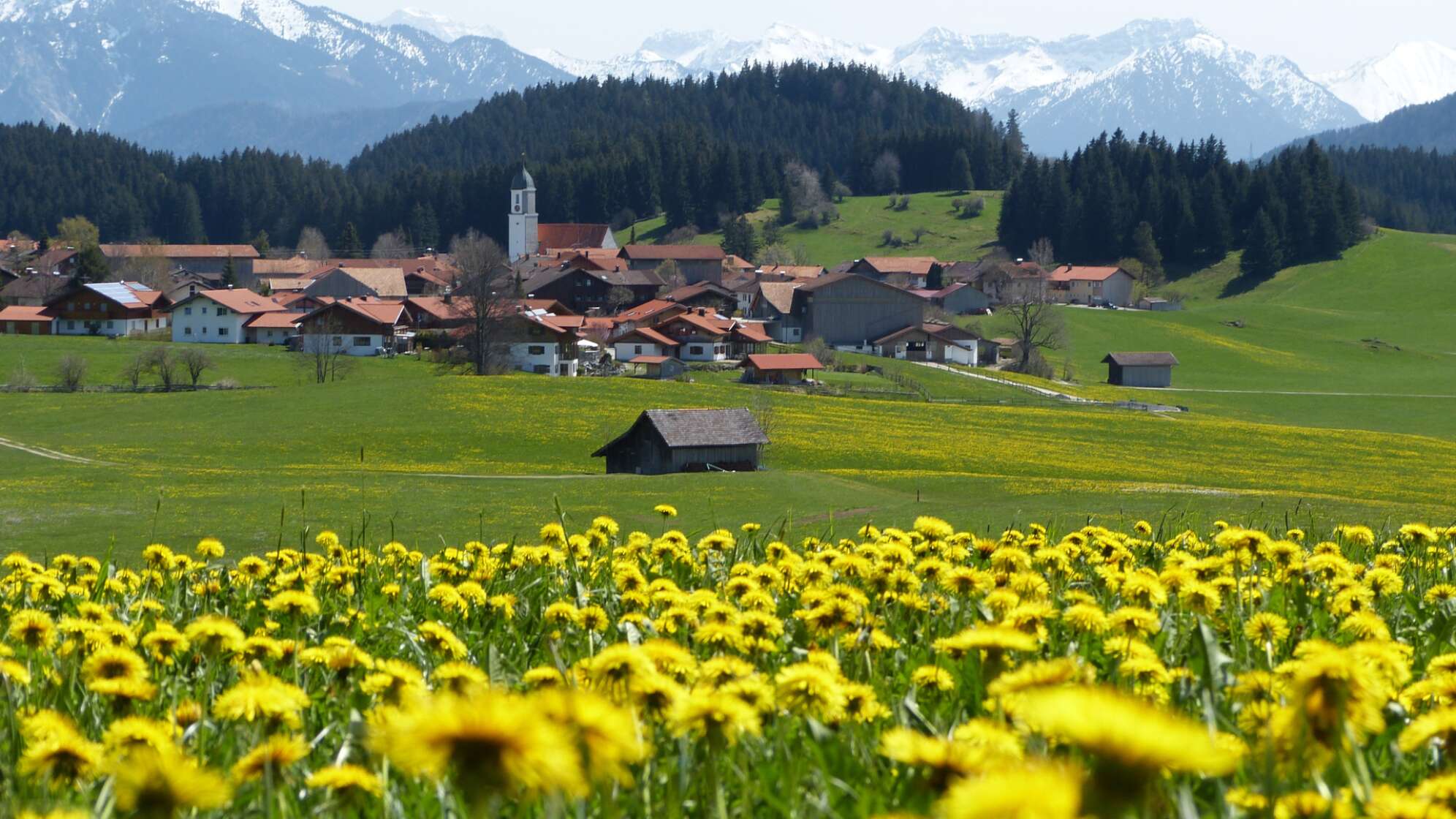 Allgäu Canva