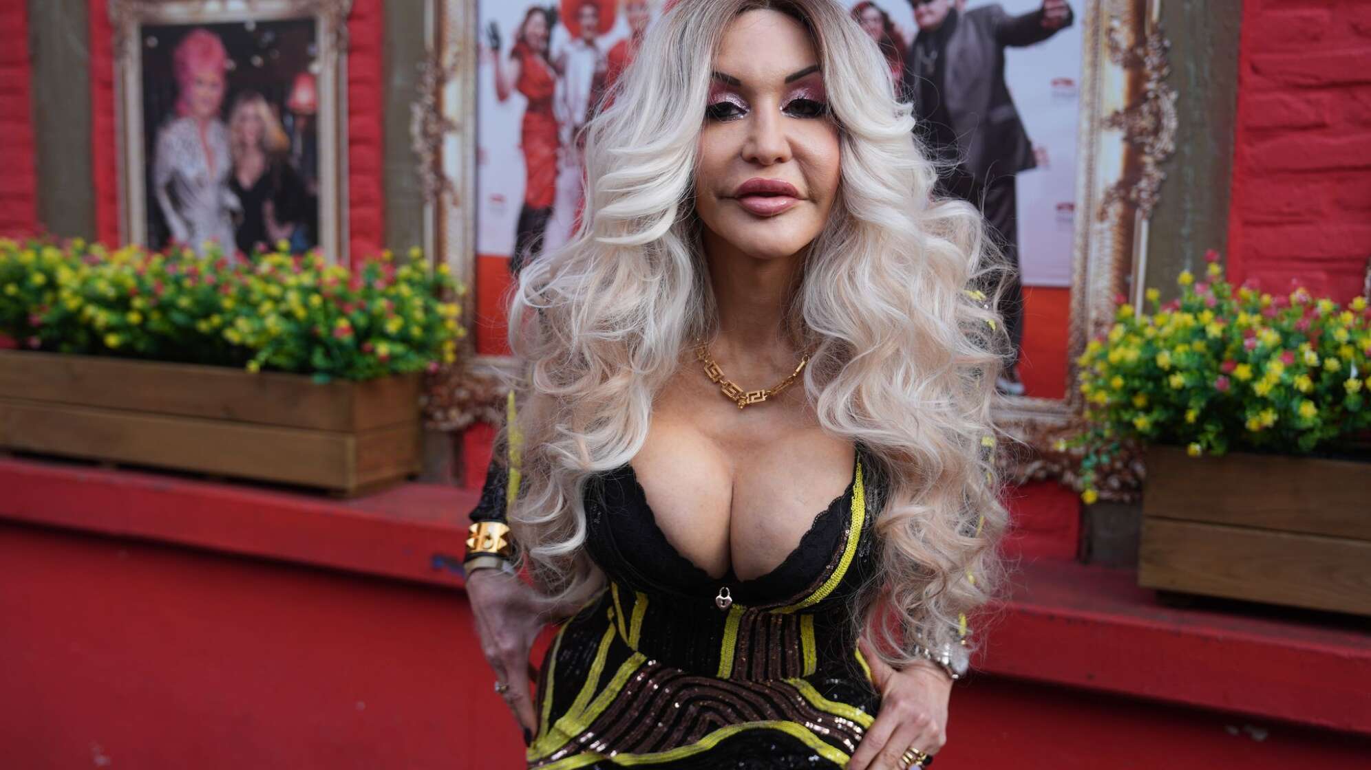 Dolly Buster