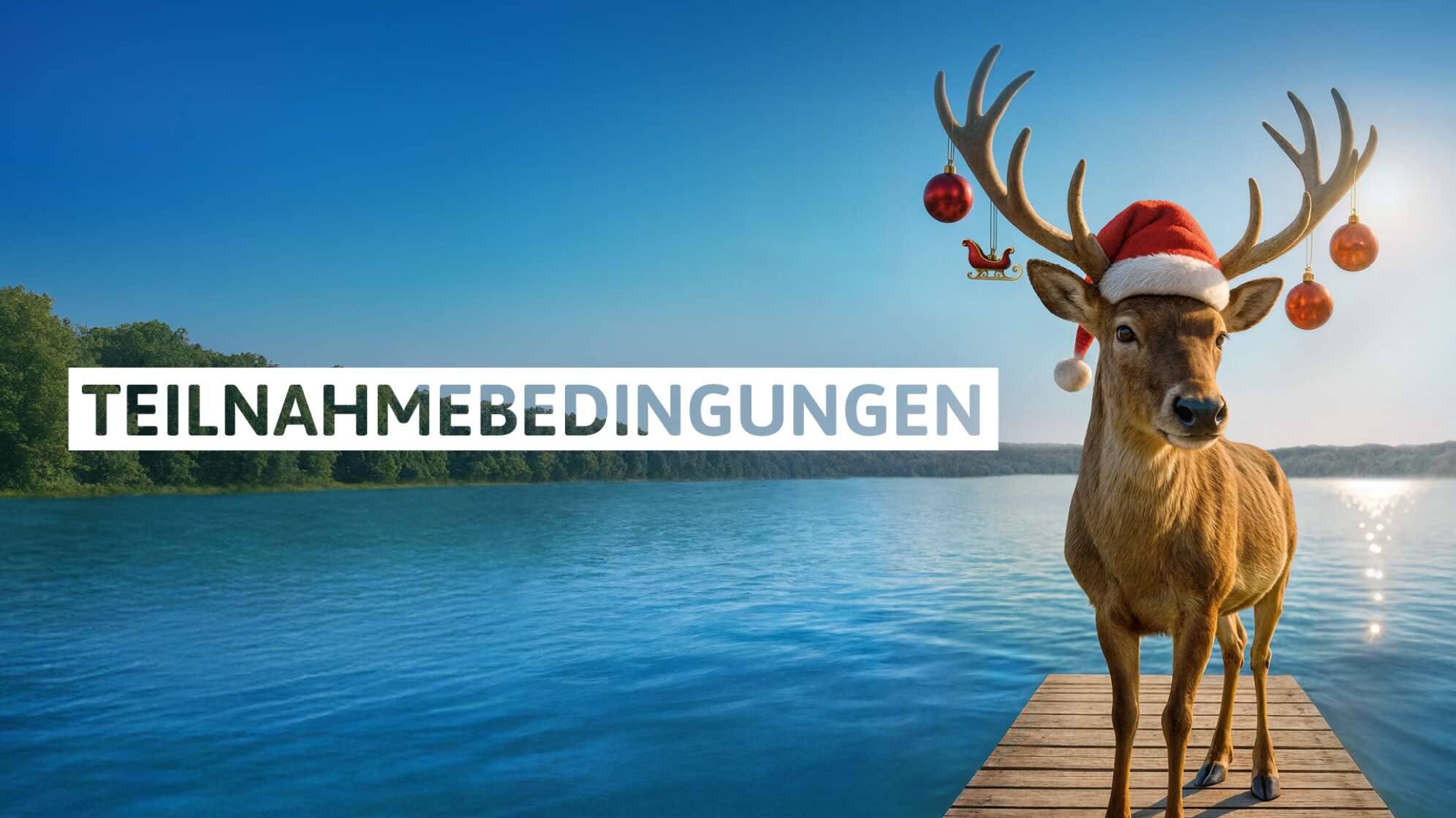 Teilnahmebedingungen: Das ANTENNE BAYERN Weihnachtsgeld