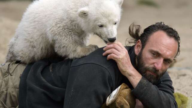 Museumsdirektor: Hype um Eisbär Knut kaum mehr spürbar