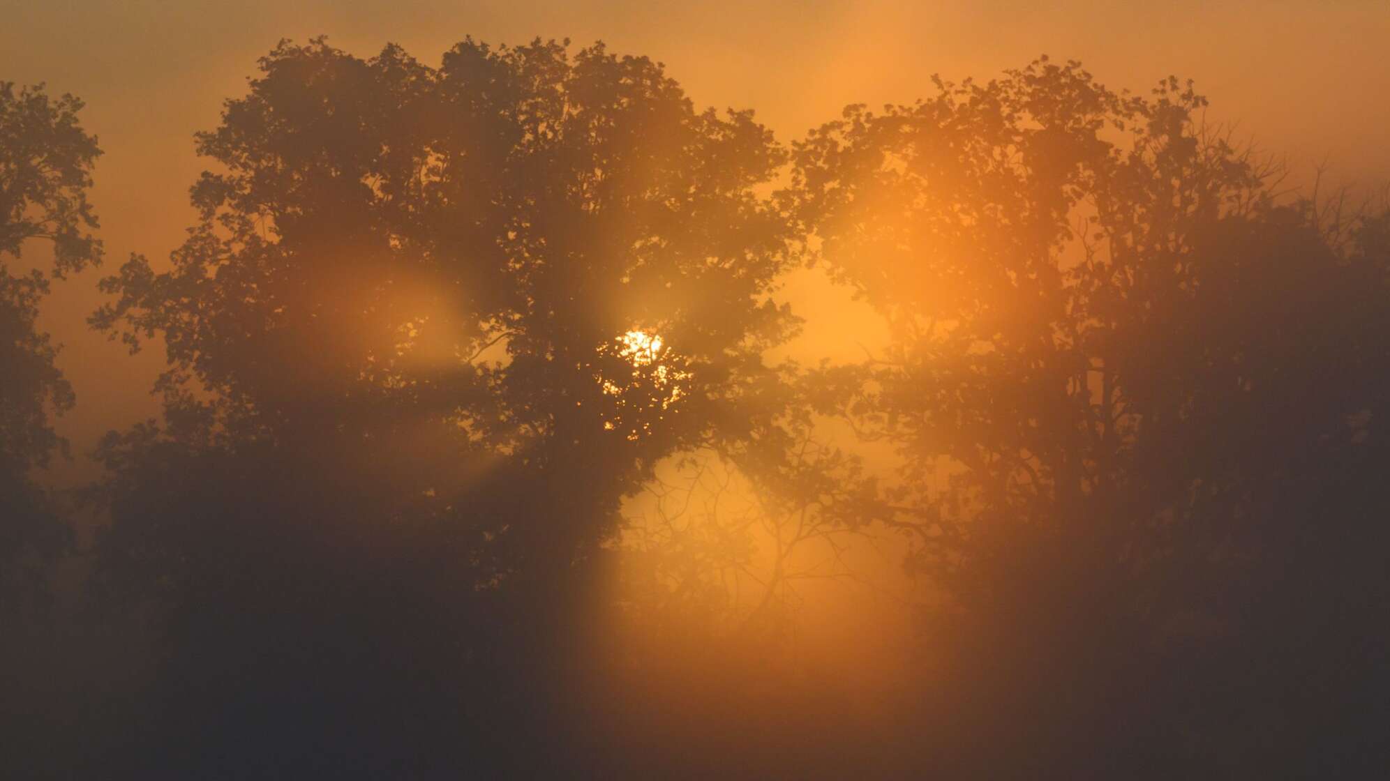 Morgens in Brandenburg