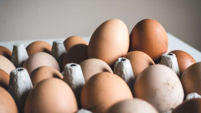 Vorsicht vor Fehlern beim Eierkauf: So macht ihr es richtig!