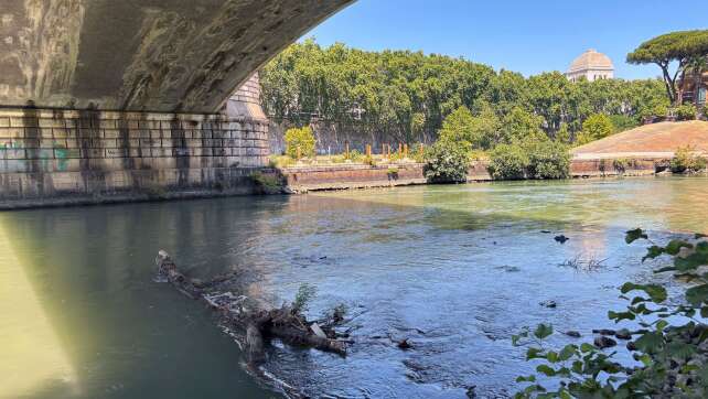 Rom will Fluss Tiber wieder badetauglich machen