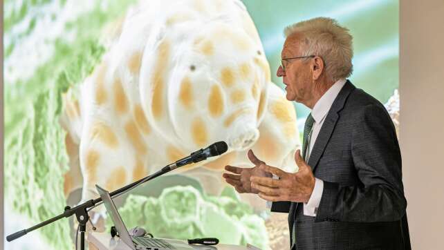 Tapsig und zäh: Neue Bärtierchenart nach Kretschmann benannt
