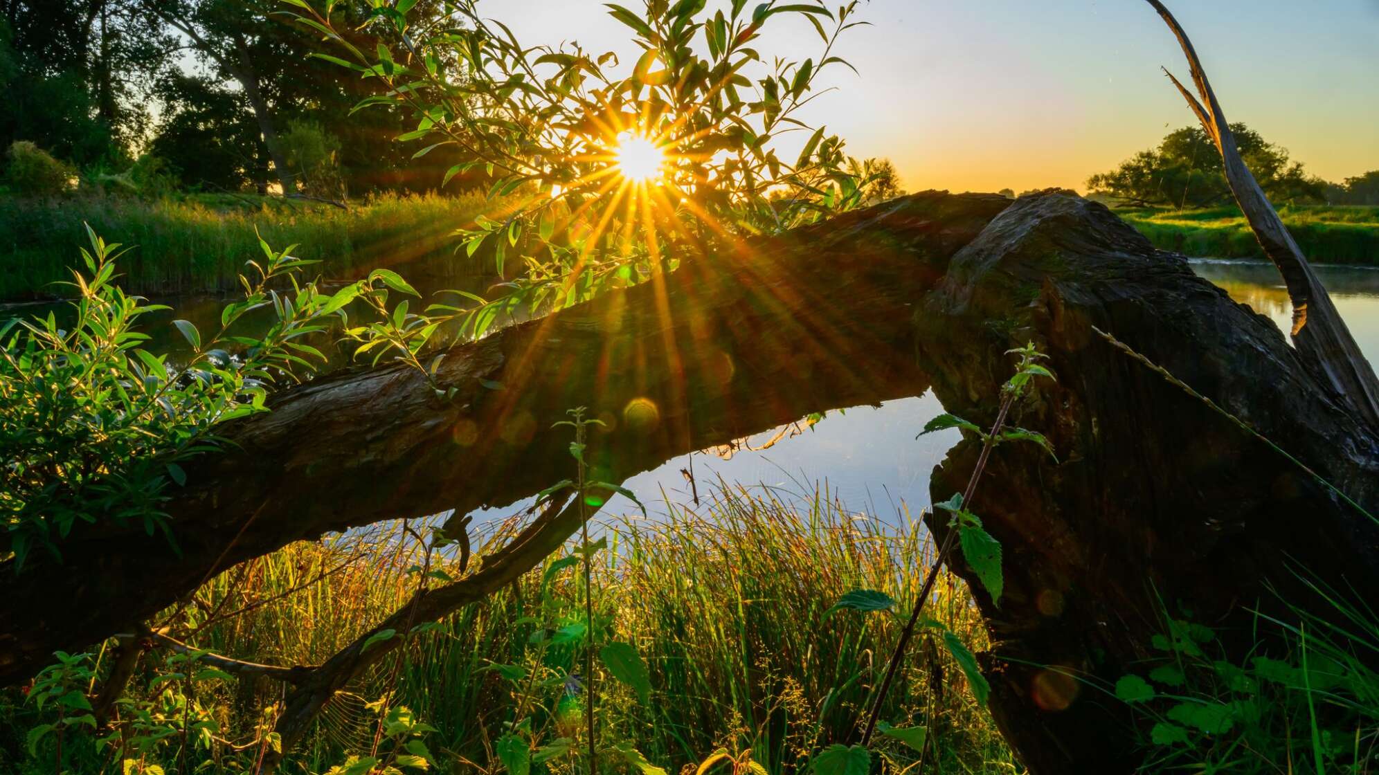 Sonnenaufgang am Fluss Oder