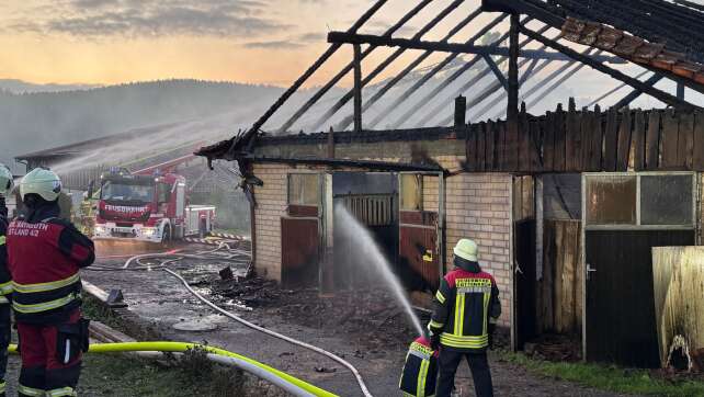 Großbrand in Reithalle – mehrere Pferde gestorben