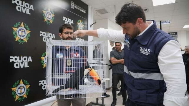 Illegaler Wildtierhandel in Rio: Polizei befreit Exoten