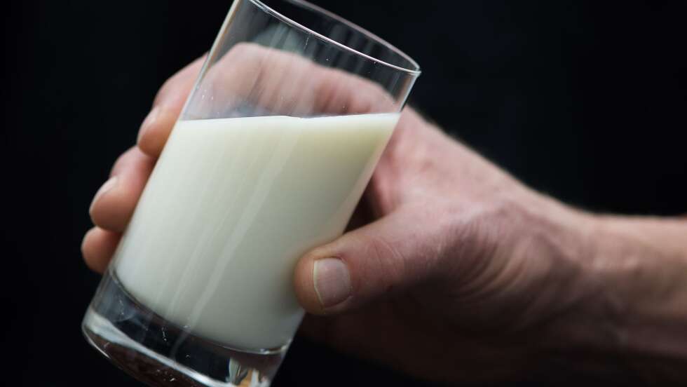 Münchner Startup entwickelt Milchalternative aus Bier-Resten