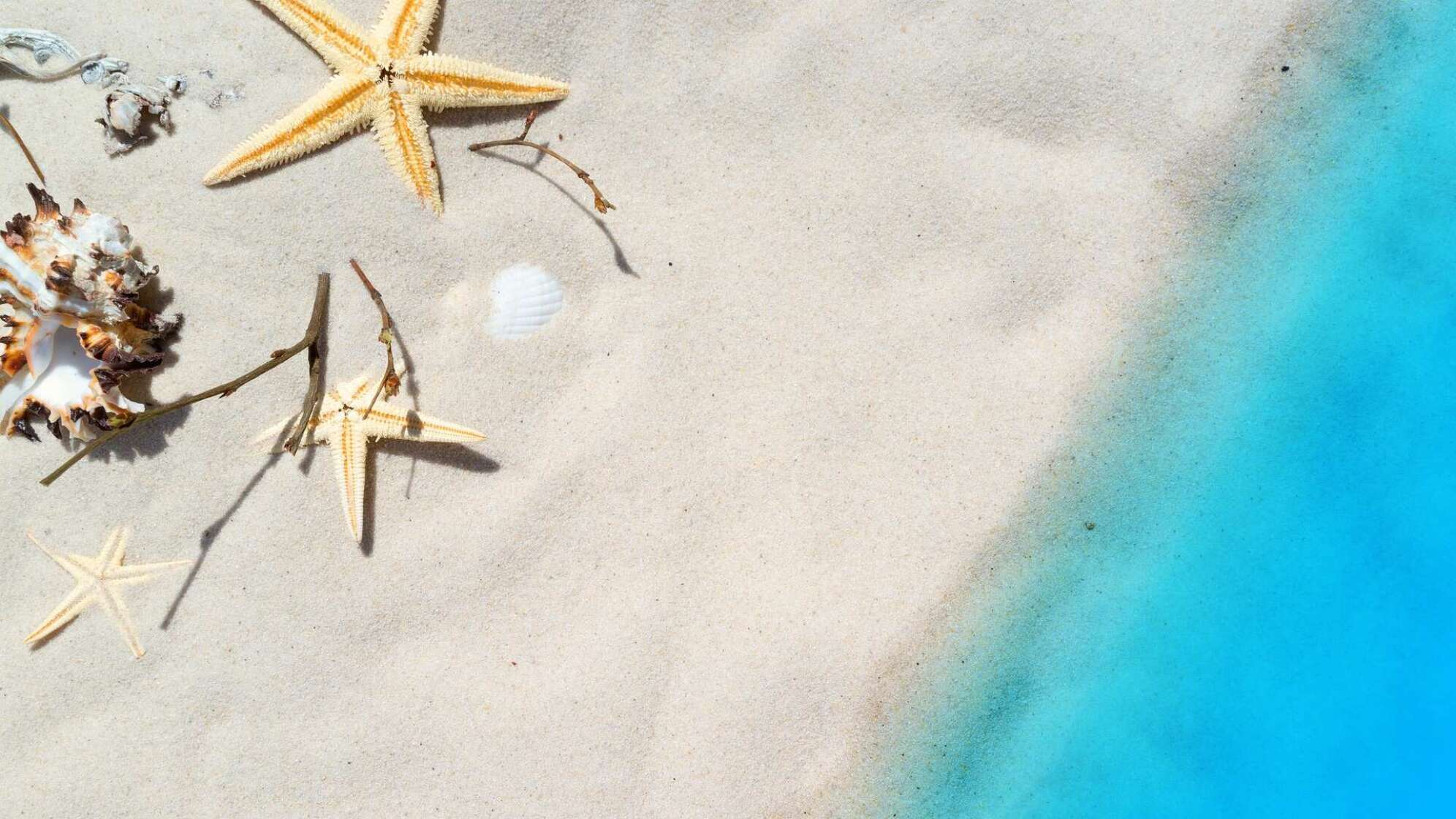 Meer Strand