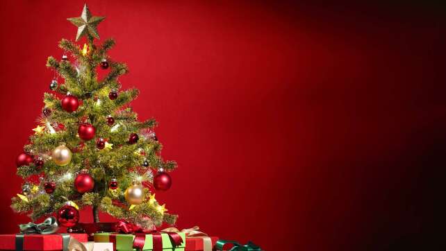 Kauf, Pflege und Transport: So findet ihr den perfekten Christbaum