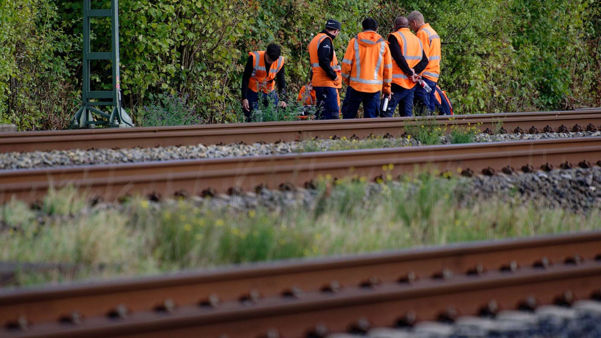 Durchtrennte Kabel beeinträchtigen Zugverkehr Köln - Düsseldorf