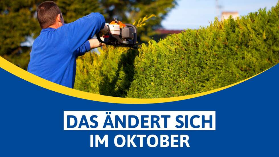 Änderungen im Oktober 2025: Überweisungen, ePA & Zeitumstellung