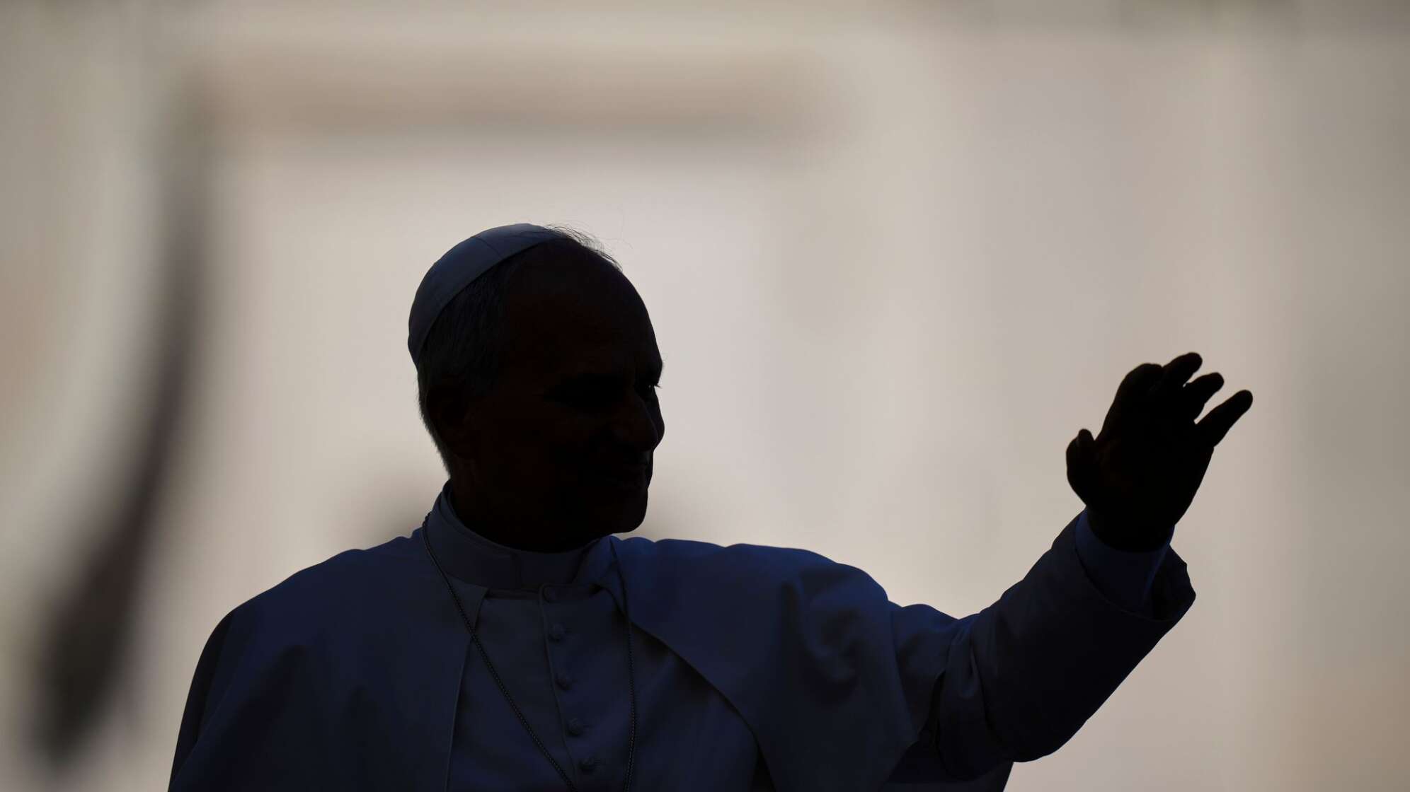 Papst Leo XIV.  - Audienz