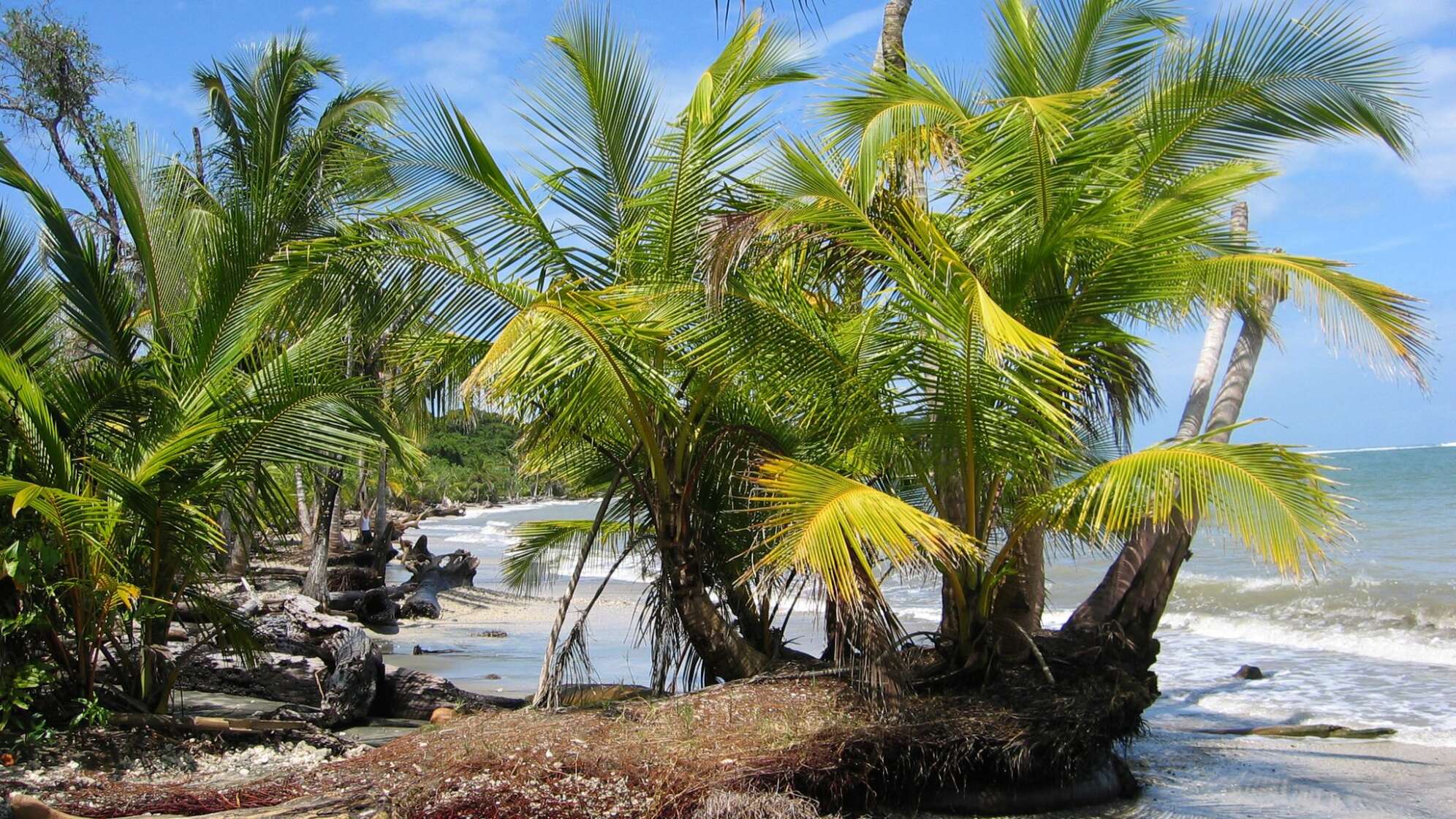 Mutmaßlich zwei Deutsche in Costa Rica tot aufgefunden