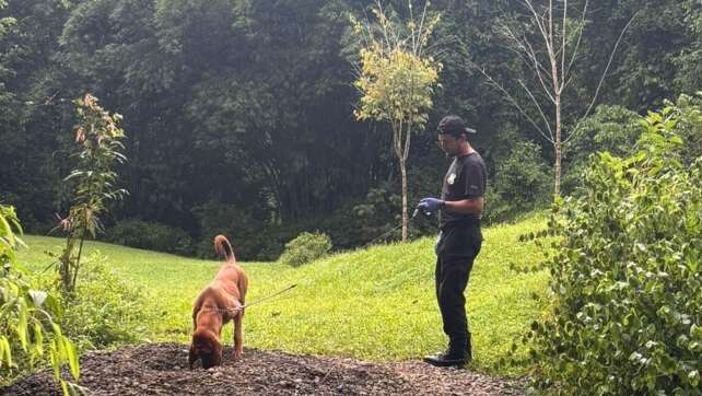Deutsch-österreichisches Paar in Costa Rica getötet